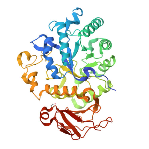 重组人CD98蛋白-ACROBiosystems百普赛斯