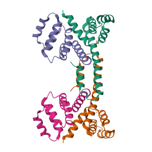 重组人Fas Ligand / TNFSF6蛋白-ACROBiosystems百普赛斯