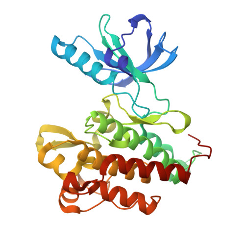 人BDNF / Abrineurin蛋白, premium grade