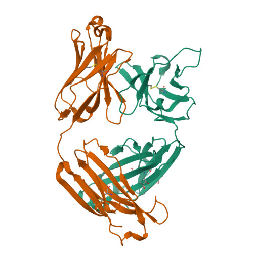小鼠GM-CSF蛋白-ACROBiosystems百普赛斯