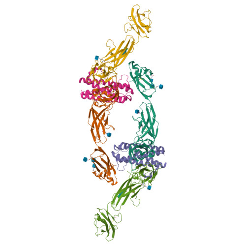 IL-11Ra重组蛋白，ACROBiosystems百普赛斯