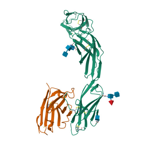 重组人IL-23R蛋白-ACROBiosystems百普赛斯