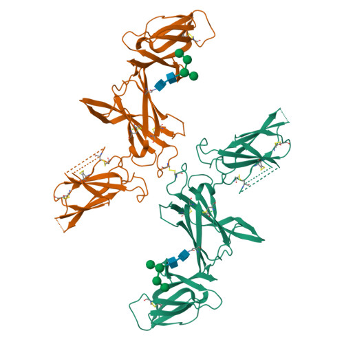 重组人IL-12B蛋白-ACROBiosystems百普赛斯