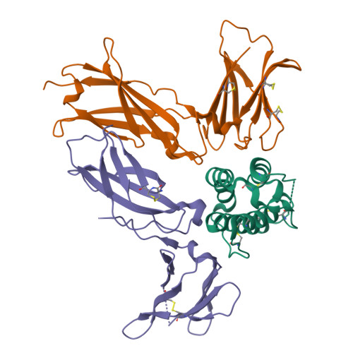 Biotinylated重组人TSLP R蛋白, Fc,Avitag