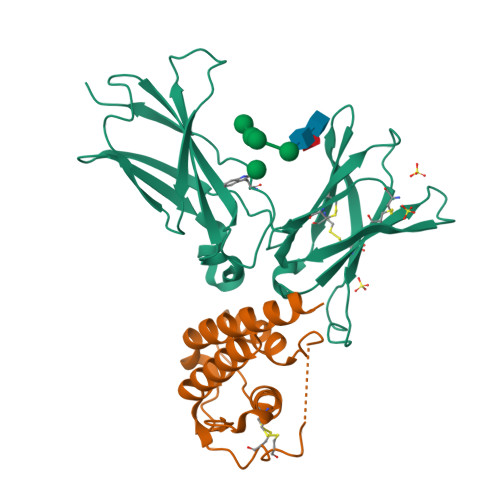 小鼠IL-21蛋白-ACROBiosystems百普赛斯