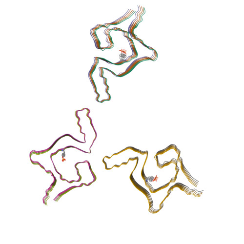 α突触核蛋白（Alpha-Synuclein）, Tag Free