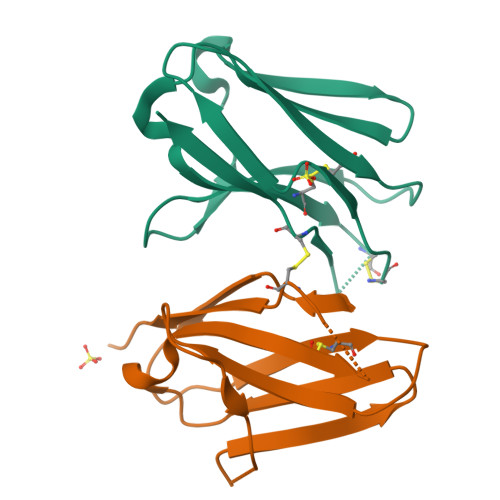 小鼠CD79B蛋白-ACROBiosystems百普赛斯