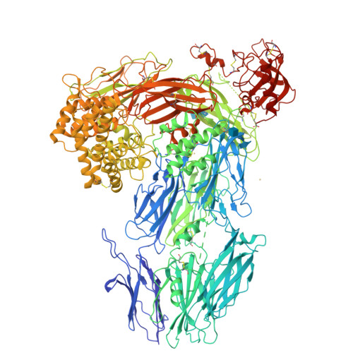 小鼠补体Complement C5蛋白-ACROBiosystems百普赛斯