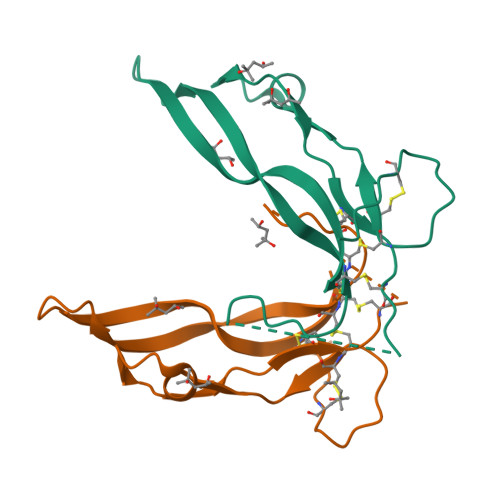 重组人GDF-8蛋白-ACROBiosystems百普赛斯