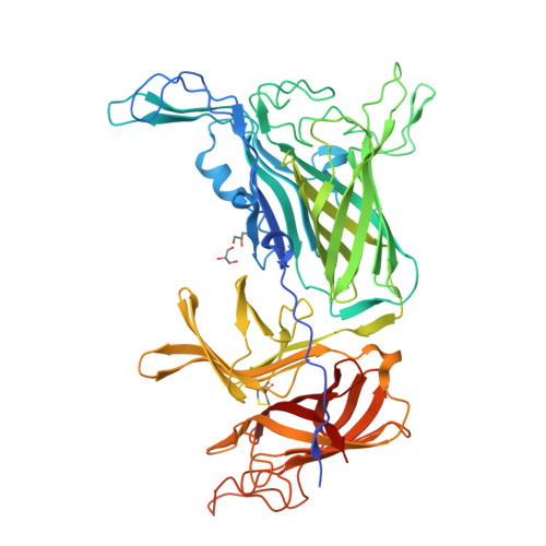 人转铁蛋白Transferrin R / CD71, Avitag, His Tag