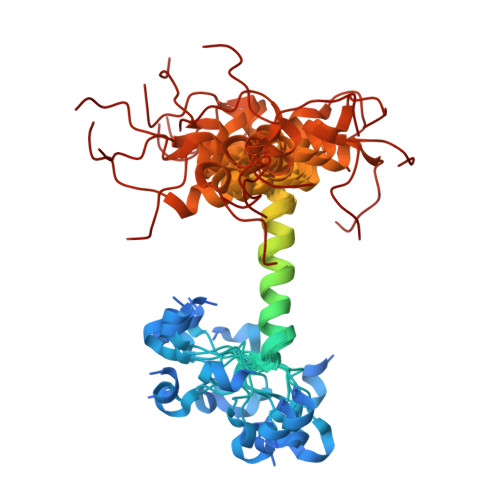 小鼠TREM2蛋白-ACROBiosystems百普赛斯