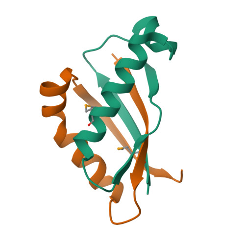 小鼠Mucin-1 / MUC-1蛋白, His Tag (SPR verified)
