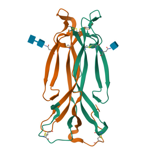 人IL-17F蛋白, His Tag (MALS verified)