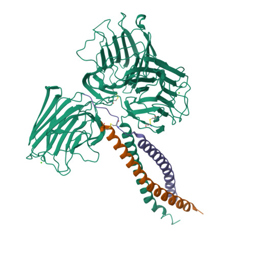 Laminin 111蛋白-ACROBiosystems百普赛斯