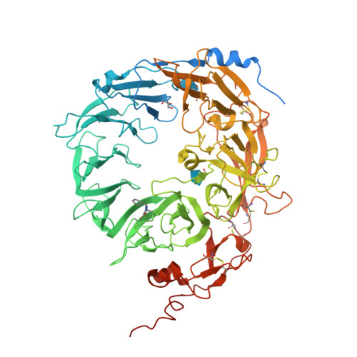 重组人Progranulin / PGRN蛋白, His Tag