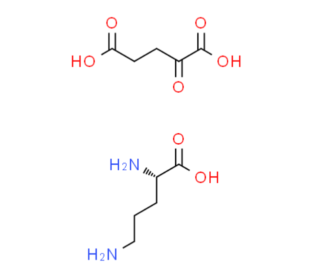 L-鸟氨酸α-酮戊二酸