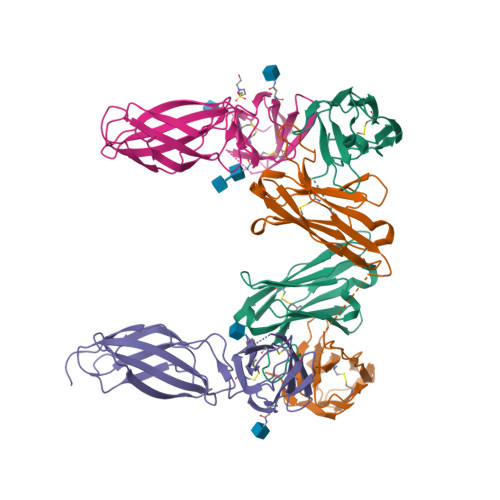 重组人IL-31RA蛋白, His,Avitag