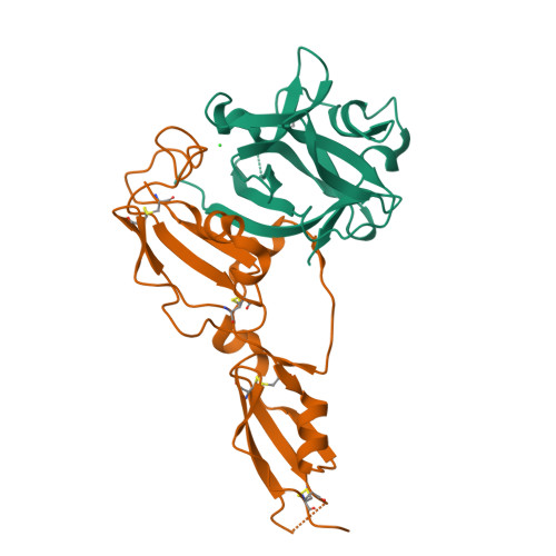 IL-33重组蛋白，ACROBiosystems百普赛斯