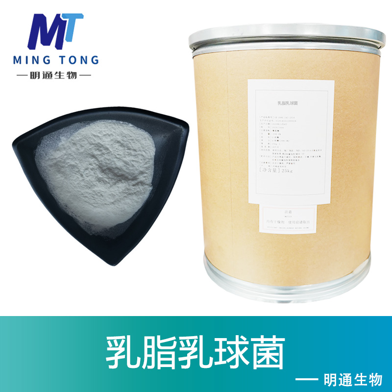 乳脂乳球菌生产厂家