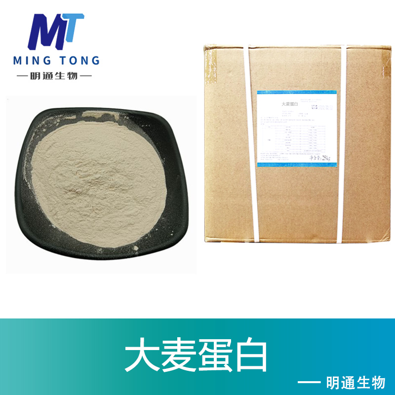 大麦蛋白生产厂家