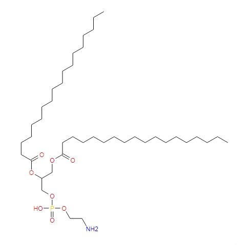1,2-二硬酯酸-3磷脂酰乙醇胺DSPE