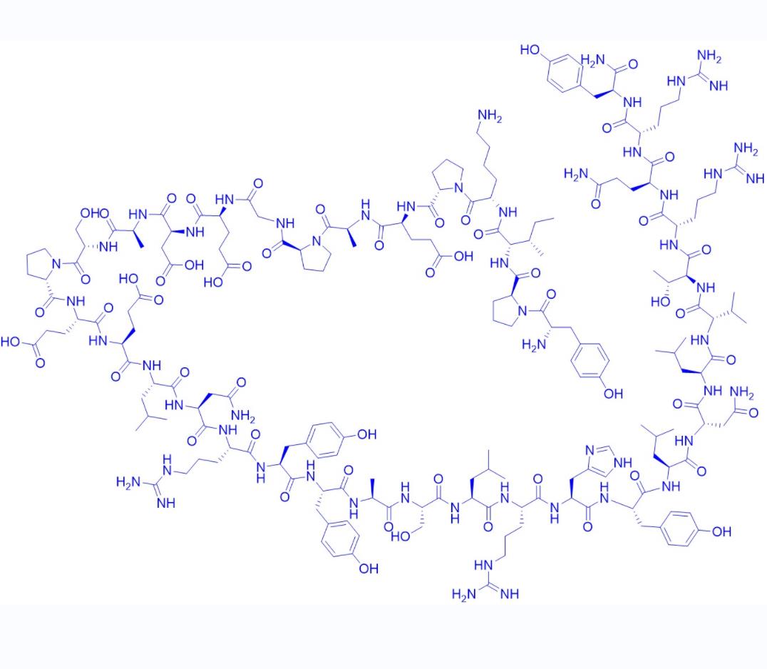 Peptide YY (PYY).png