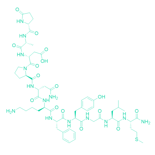 速激肽Physalaemin/2507-24-6/Physalaemin