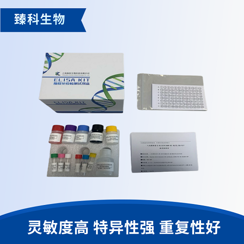 大鼠白三烯D4(LTD4）elisa试剂盒