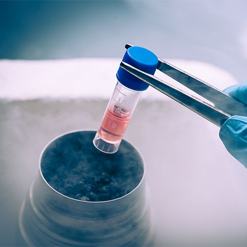 TR-FRET技术服务，TR-FRET试剂盒定制开发