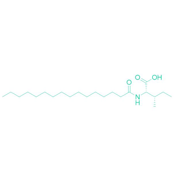 Palmitoyl Isoleucine 54617-29-7.png