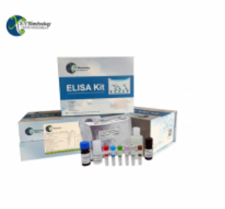 人铁调素(Hepc)ELISA试剂盒 YB74083Hu