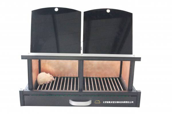 DB079大鼠穿梭箱