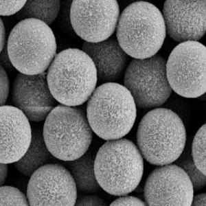 PEI修饰的磁珠200nm，PEI-modified Magnetic Beads