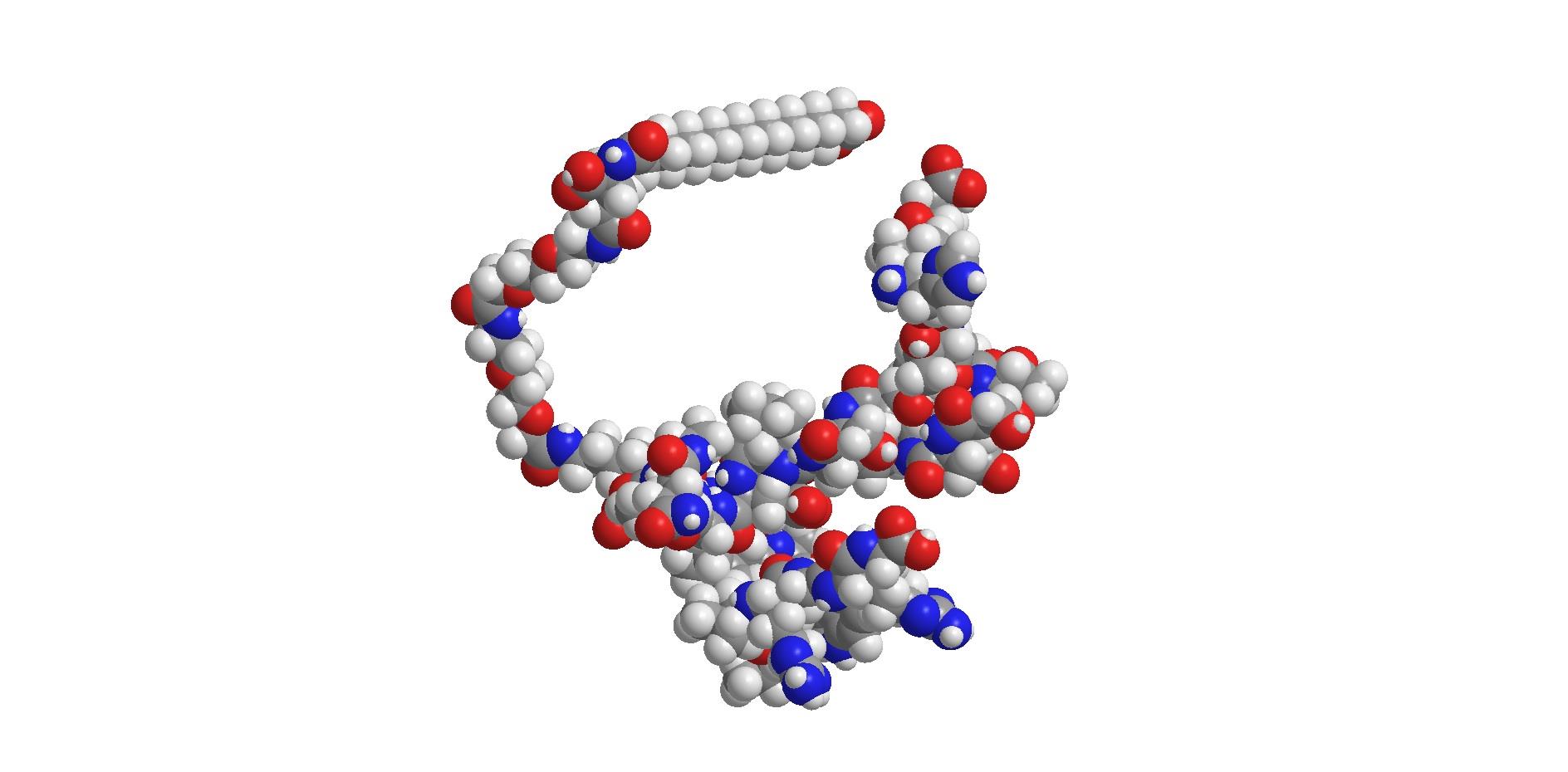 SMLT-5.jpg SMLT-5.jpg