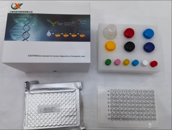 小鼠白细胞介素9 (IL-9) ELISA试剂盒