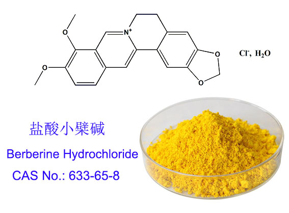 盐酸小檗碱；盐酸黄连素；化学合成；满足药典标准；；