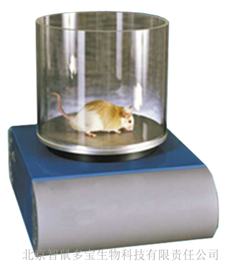 疼痛自动分析系统