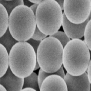 单分散PS微球，单分散聚苯乙烯微球，Monodisperse PS Microspheres