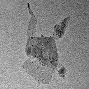 罗丹明标记的Ti3C2Tx MXene，Rhodamine-Labeled Ti3C2Tx MXene