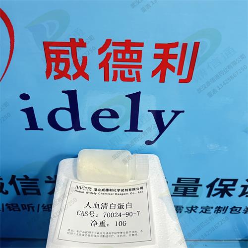 人血清白蛋白 (5).jpg