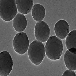 羧基磁珠100nm，Carboxylated Magnetic Beads
