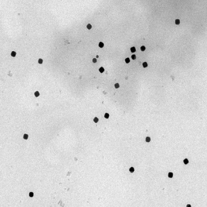 Gold Nanocubes，金纳米立方体