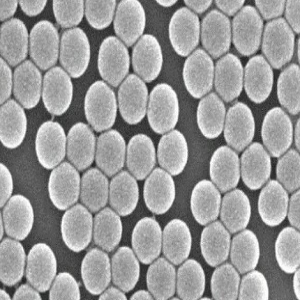 介孔二氧化硅包覆金纳米棒，Mesoporous Silica-Coated Gold Nanorods