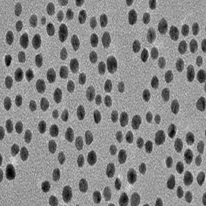 Water-Soluble Gold Nanoparticles，水溶性金纳米颗粒5nm