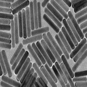 水溶性金纳米棒，water-soluble gold nanorods