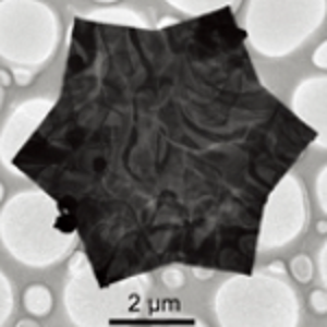 金纳米片，gold nanoplates