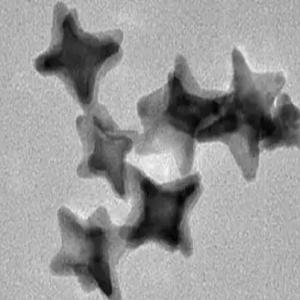 金纳米星，gold nanostars，GNSs