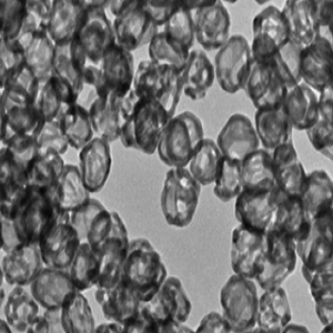 GNBPs，金纳米双锥，gold nanobipyramids