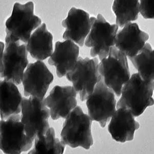 GNFs，金纳米花，gold nanoflowers