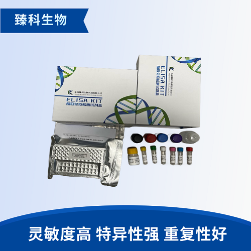 大鼠对氯苯丙氨酸(PCPA）elisa试剂盒